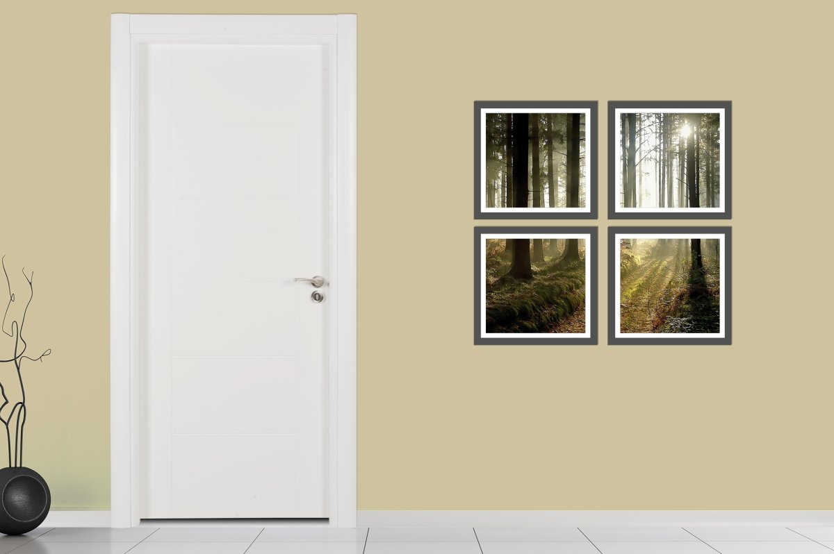 Doorx Bianca