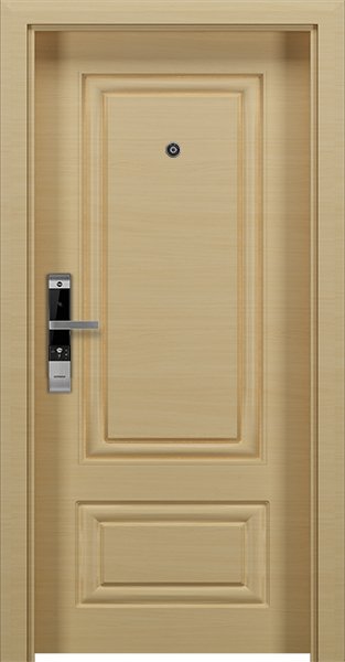 Dortek IP-DV011