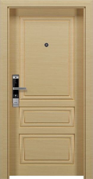 Dortek IP-DV091