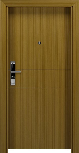 Dortek IP-NA5F1
