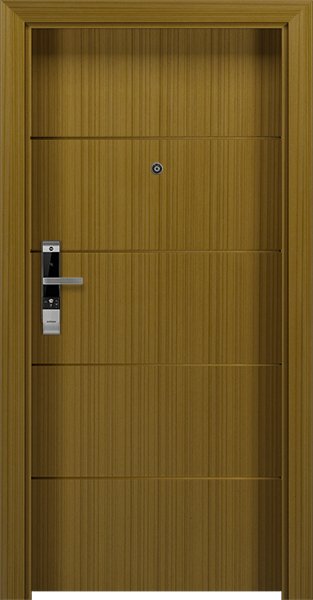 Dortek IP-NA5F2