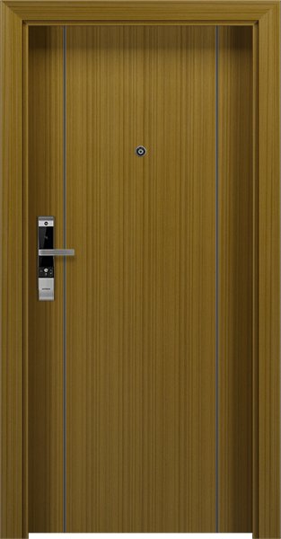 Dortek IP-NA5F3