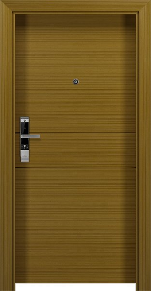 Dortek IP-NA6F1