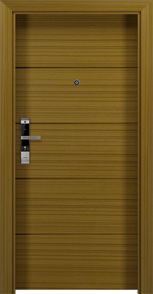 Dortek IP-NA6F2