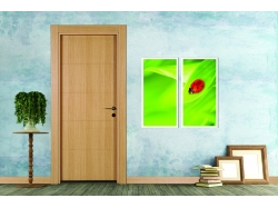 Doorx Massima 