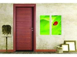 Doorx Marrone 