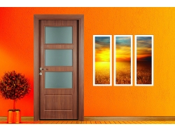 Doorx C-Paula 