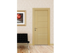  Ahşap Kaplamalı Kapı 1 